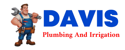 Trusted plumber in LADD